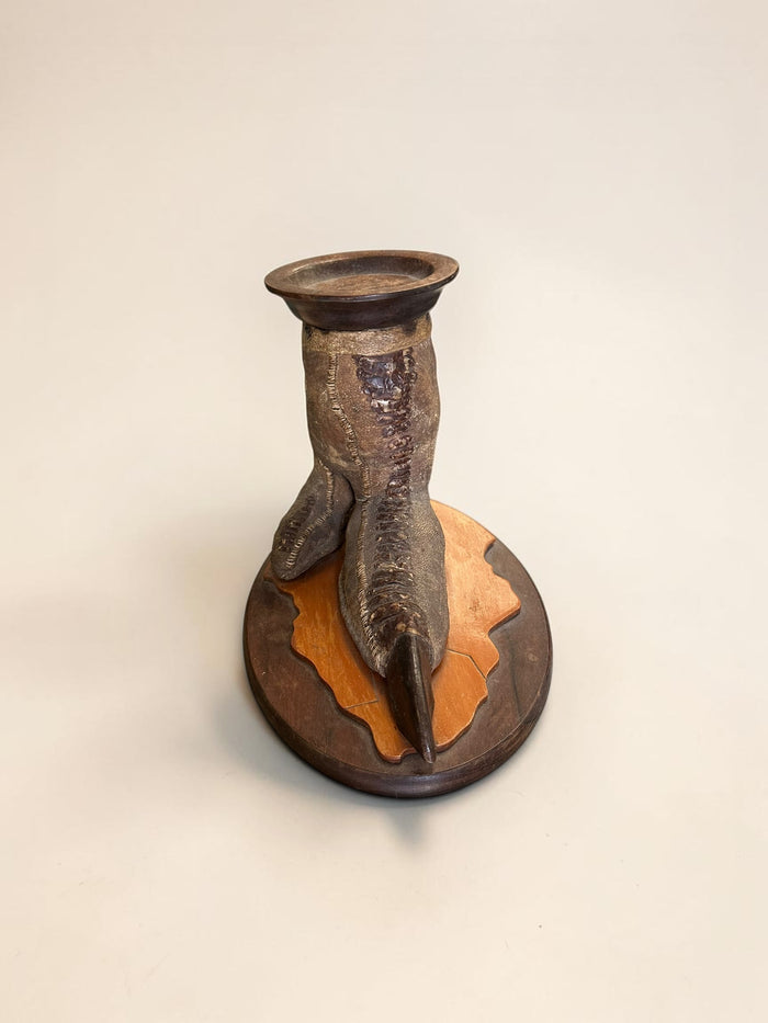 1920’s, English taxidermy ostrich foot candle stand, mounted on a wooden base