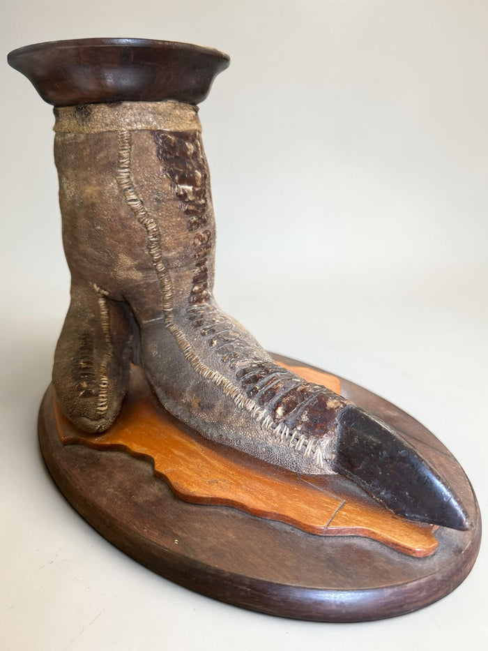 1920’s, English taxidermy ostrich foot candle stand, mounted on a wooden base