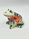 Andy Frog - D55