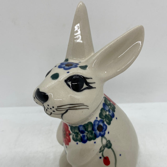 Andy Rabbit - D10