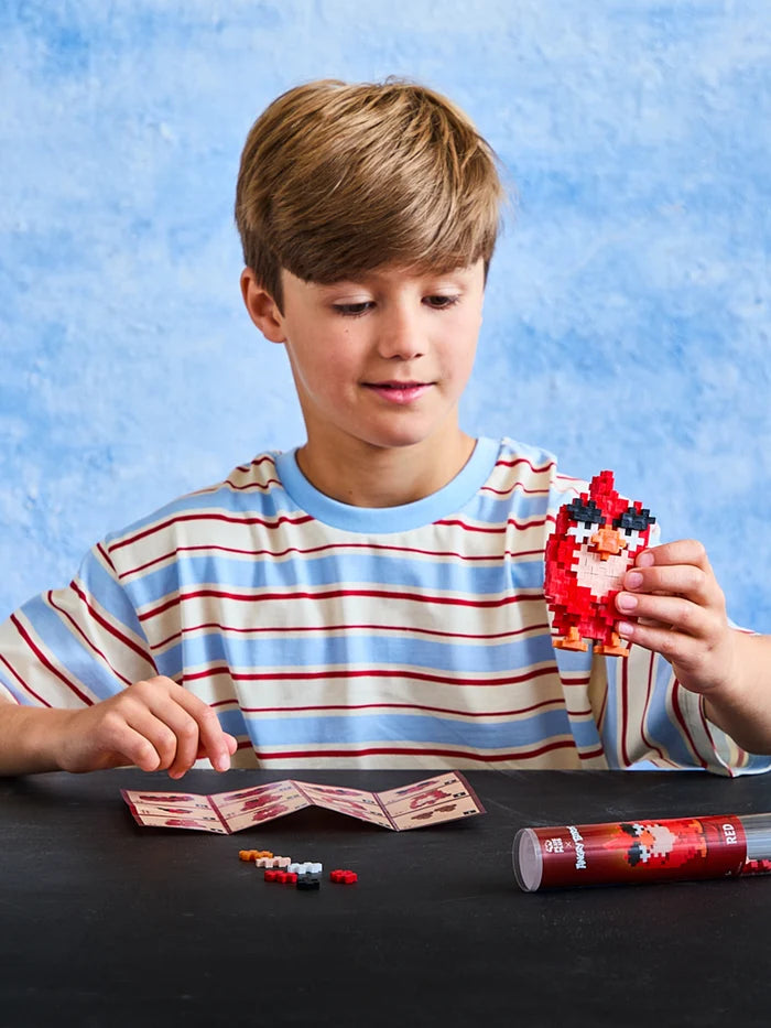 Angry Birds - Bundle