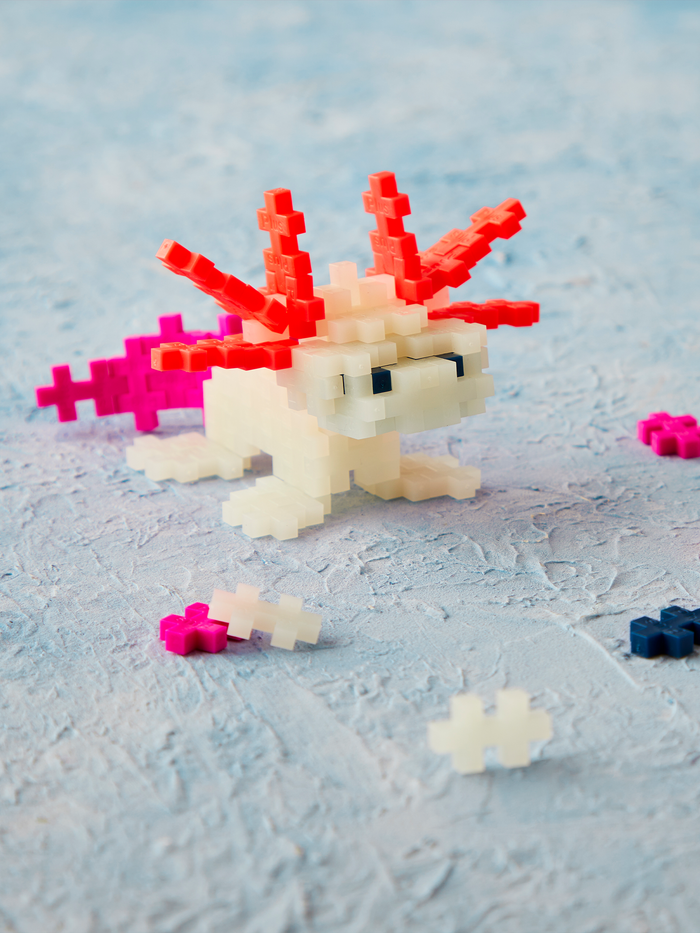 Axolotl