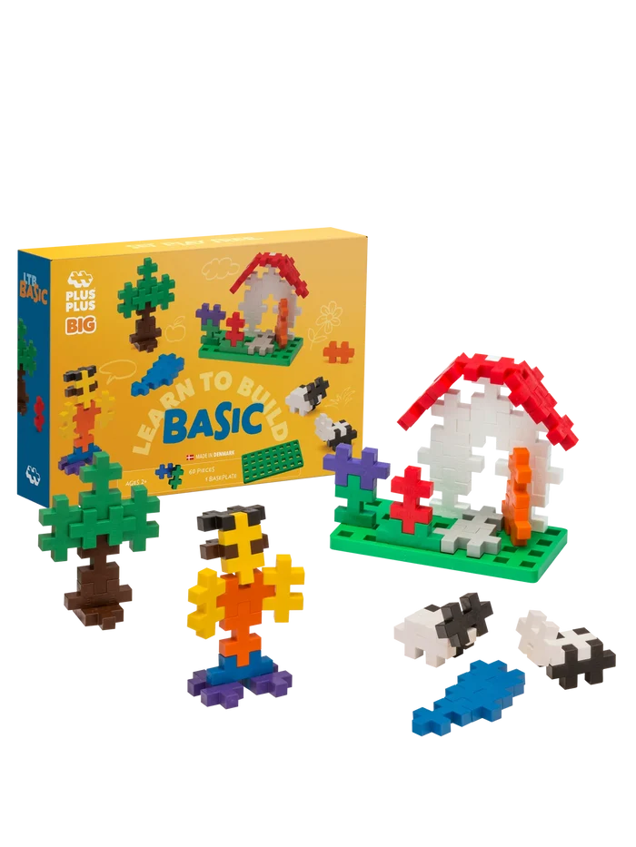 BIG Learn to Build Set - 60 pcs