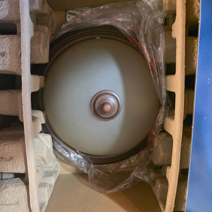 BRAND NEW IN BOX Project Source Flushmount Light 13"D