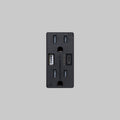 Buster + Punch Duplex Outlet Module | 2 USB A + C