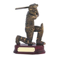 Cricket Batsman