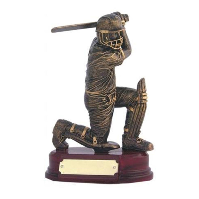 Cricket Batsman