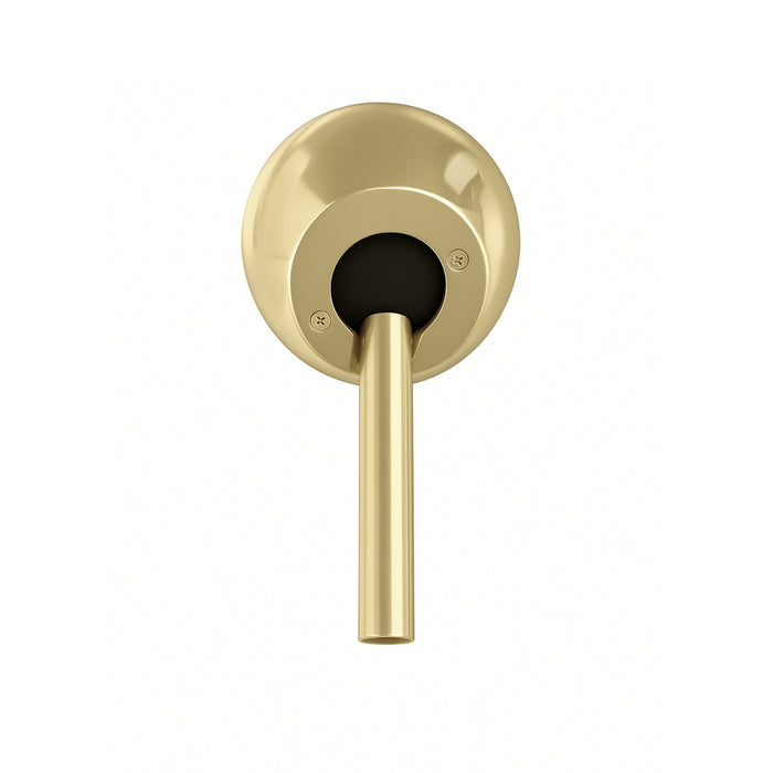 Polished Brass