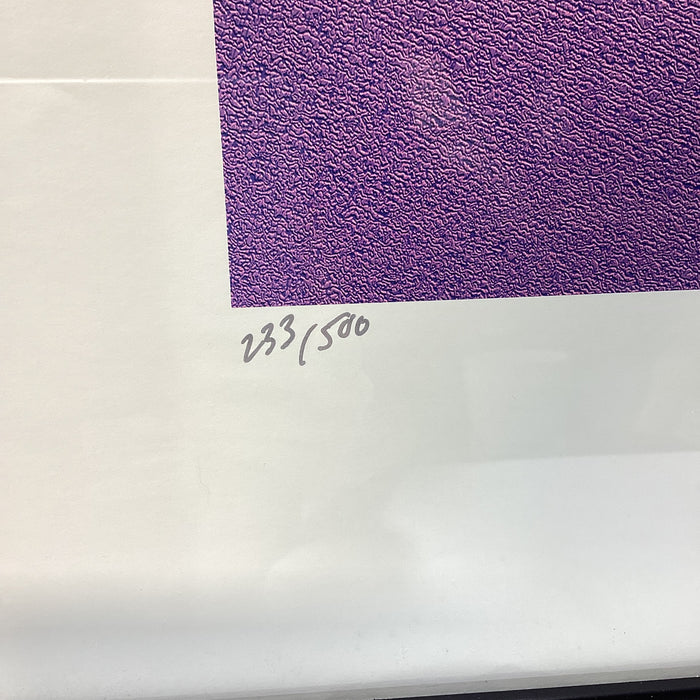 Michael Muffins Signed "Above The Beach" Limited Edition Print 33.5" x 27.5"
