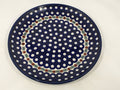 Plate ~ Dinner ~  10 inch ~ 0070X - T3!