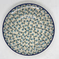 Plate ~ Dinner ~  10 inch ~ 2624X - T3!