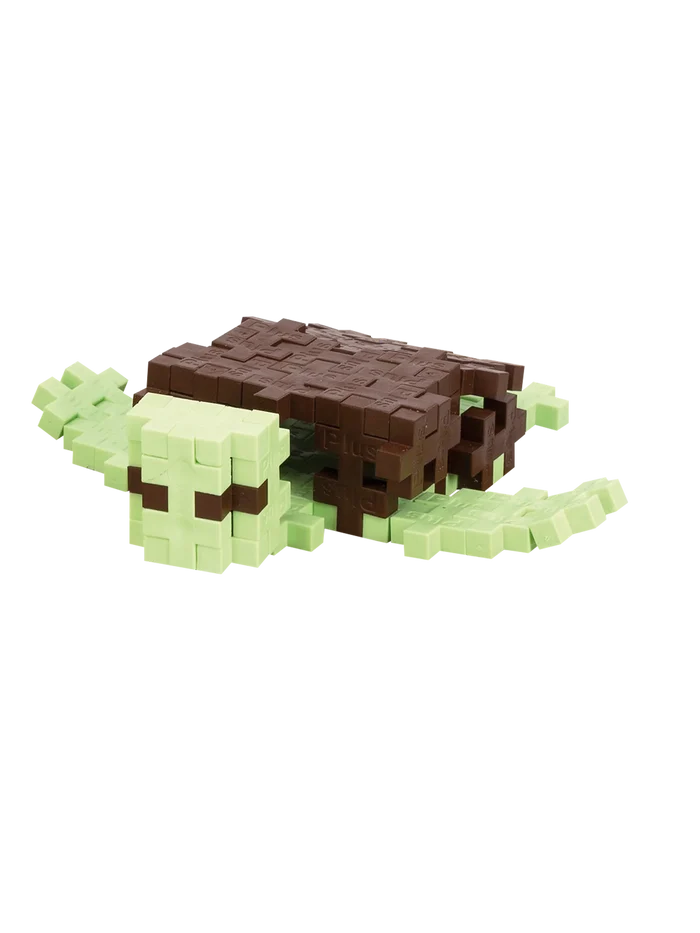 Sea Turtle