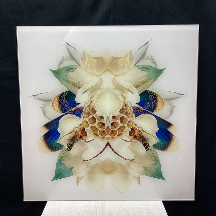 Symmetrical Bee/Nature Photograph Print 30" x 30"