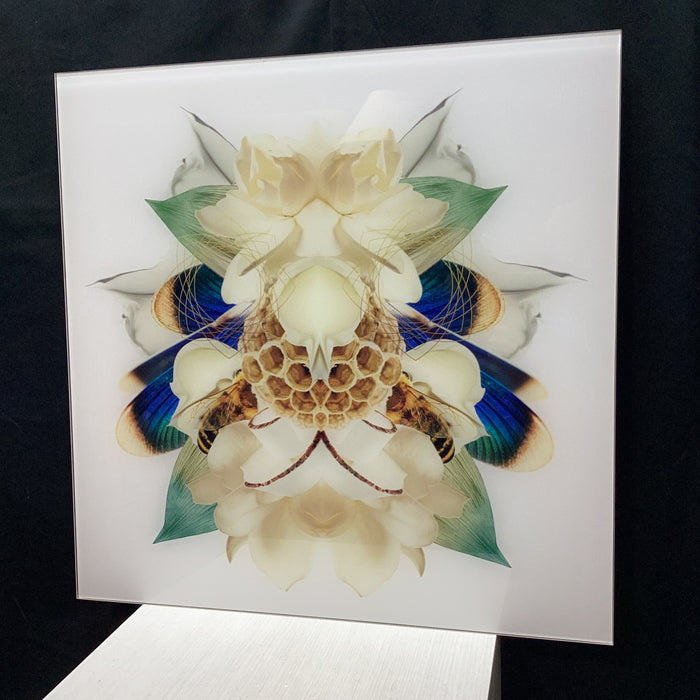 Symmetrical Bee/Nature Photograph Print 30" x 30"