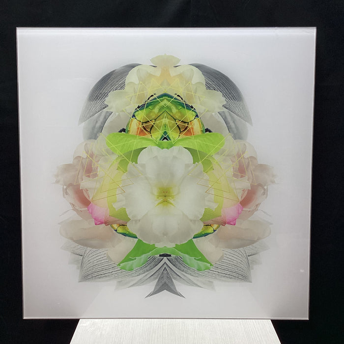 Symmetrical Beetle/Nature Photograph Print With Gold Triangular Details 30" x 30"