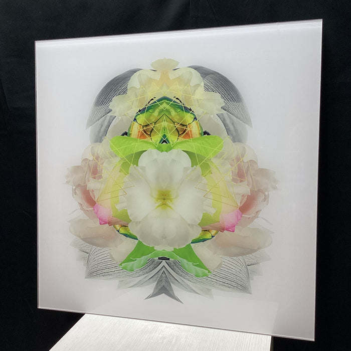 Symmetrical Beetle/Nature Photograph Print With Gold Triangular Details 30" x 30"