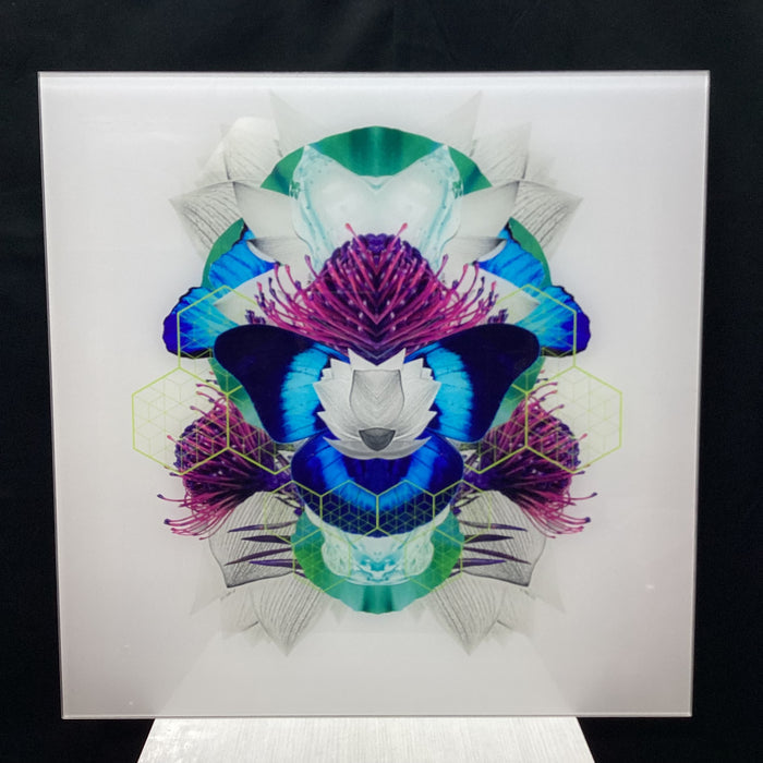 Symmetrical Butterfly/Nature Photograph With Digital Collage Detailing 30" x 30"