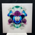 Symmetrical Butterfly/Nature Photograph With Digital Collage Detailing 30" x 30"