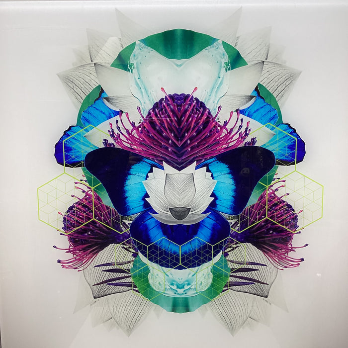 Symmetrical Butterfly/Nature Photograph With Digital Collage Detailing 30" x 30"