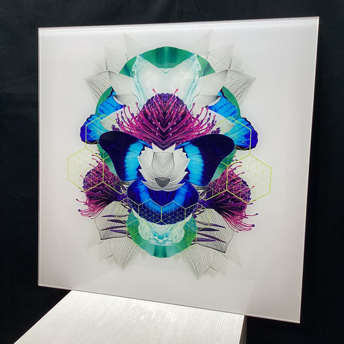 Symmetrical Butterfly/Nature Photograph With Digital Collage Detailing 30" x 30"