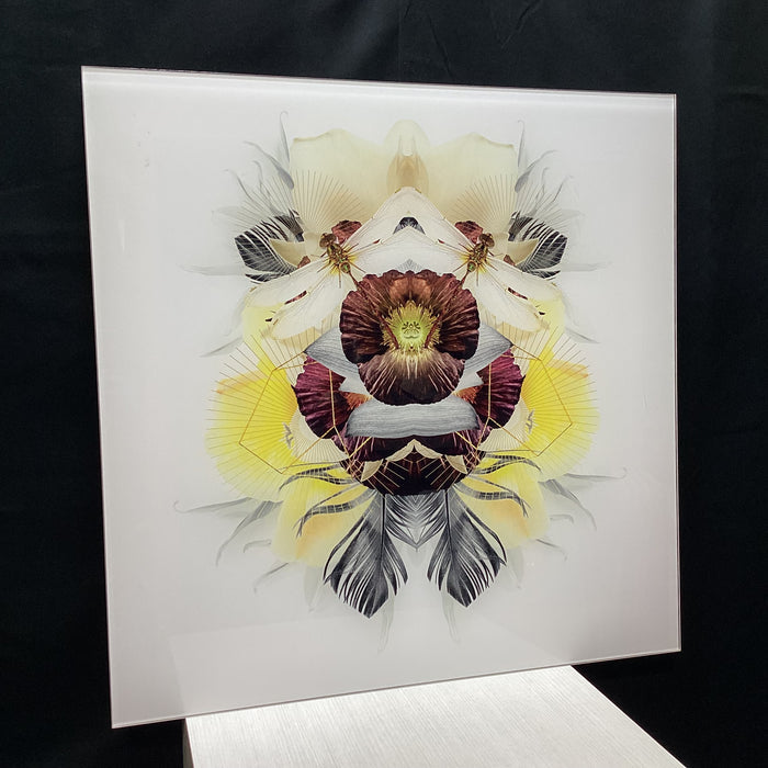 Symmetrical Dragonfly/Nature Photograph Print With Gold Geometric Details 30" x 30"