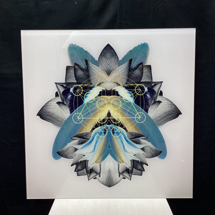 Symmetrical Feather/Nature Photograph Print With Gold Detailing 30" x 30"