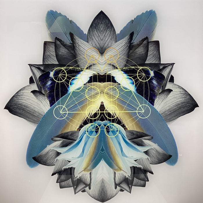 Symmetrical Feather/Nature Photograph Print With Gold Detailing 30" x 30"