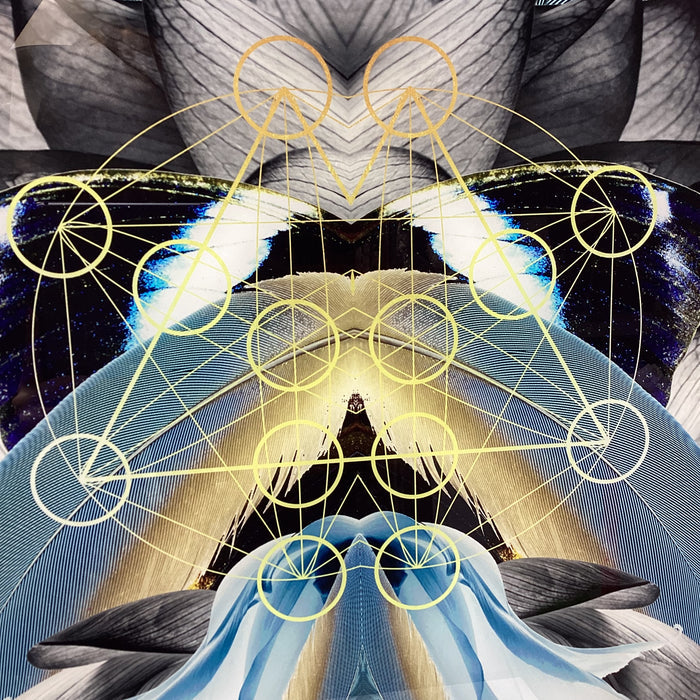 Symmetrical Feather/Nature Photograph Print With Gold Detailing 30" x 30"