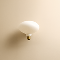 Tala Oval E26 LED Bulb - Model OVAL-6W-2700K-E26-MP-120V