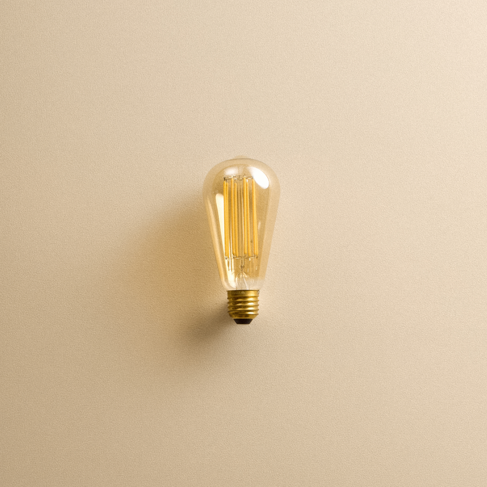 Tala Squirrel Cage E26 LED Bulb - Model SQCG-3W-2200K-E26-T-120V