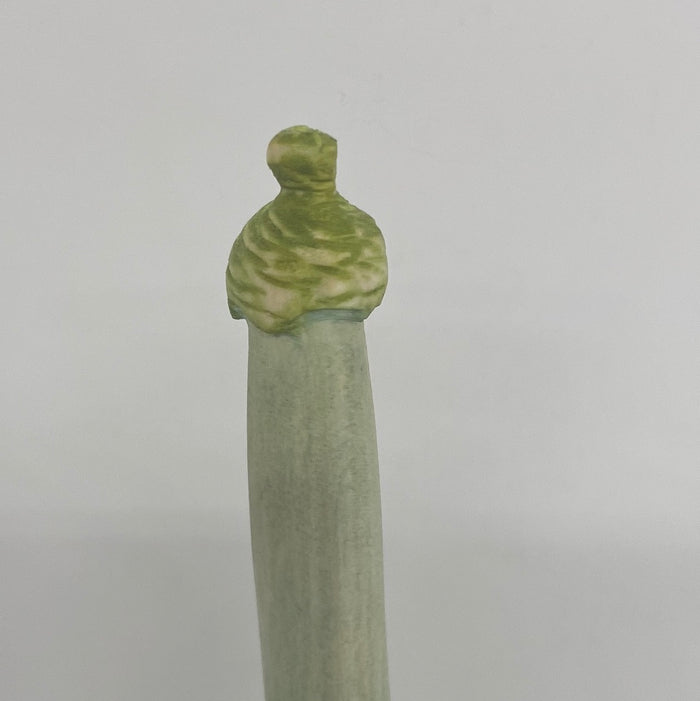 Tip Top Akorn Hat Nochale - 054