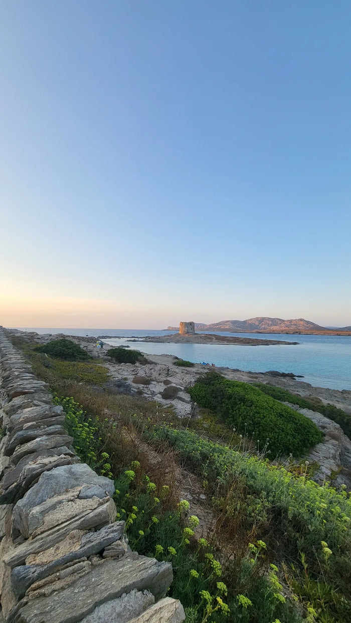 Wild Sardinia – Sardinia Travel Guide 2026: Beaches, Itineraries & Secrets (PDF eBook)