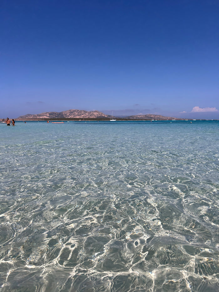 Wild Sardinia – Sardinia Travel Guide 2026: Beaches, Itineraries & Secrets (PDF eBook)